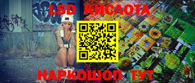 мдпв Бердск