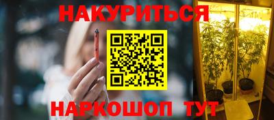 мдпв Бердск