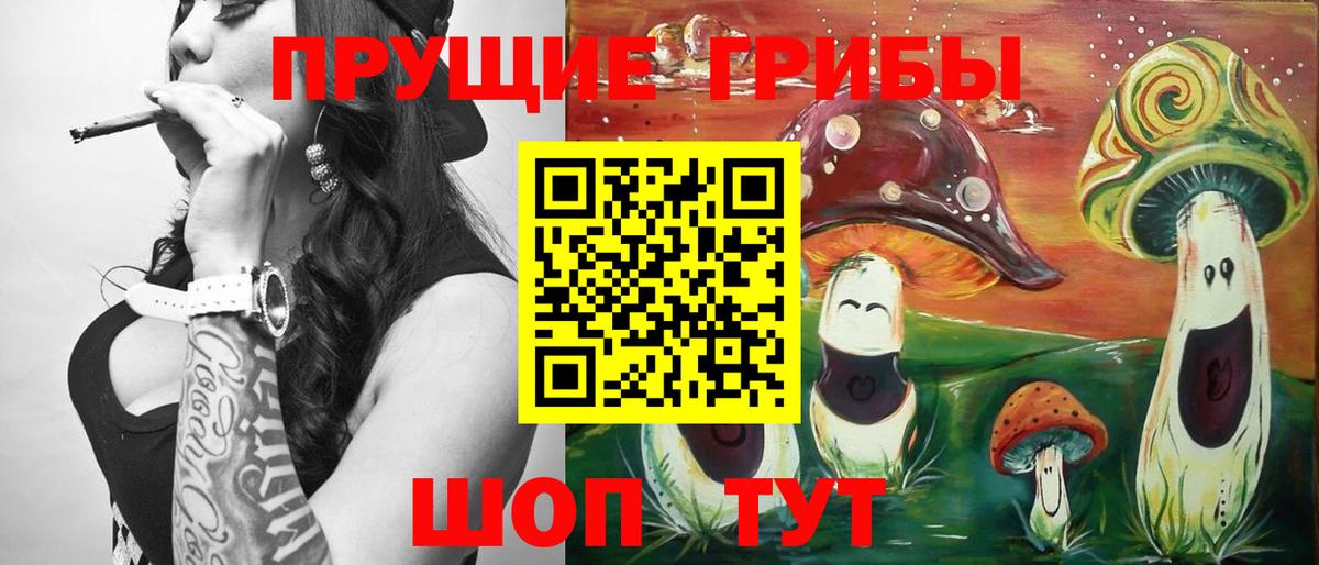 Галлюциногенные грибы Psilocybe  Вход с VPN  Псилоцибиновые грибы Cubensis  Петрозаводск 